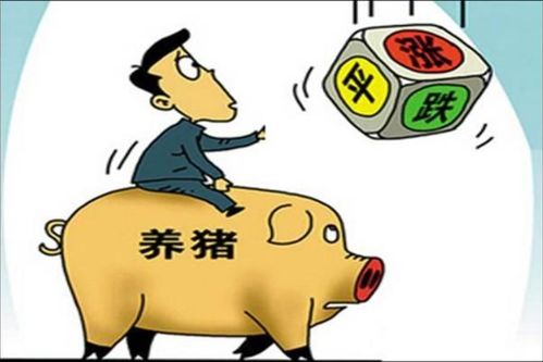 2021年才建圈养母猪,会不会太迟了红利期已过,但也不迟