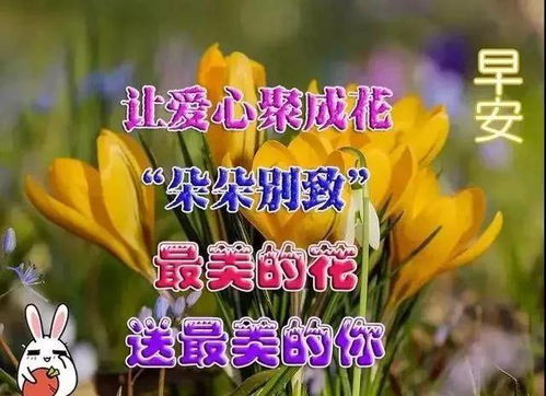 寒冷清晨发朋友圈的早上好漂亮图片早安动图,早安唯美动态表情祝福语图片