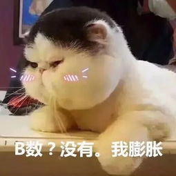 2018科隆游戏展,虎牙直播联合篝火营地全程直播