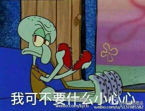 今天你收到了什么惊喜晒晒吧