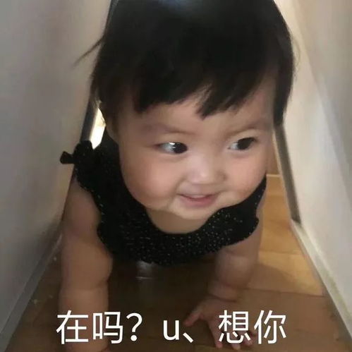 刚搜刮来的表情包,送你们了