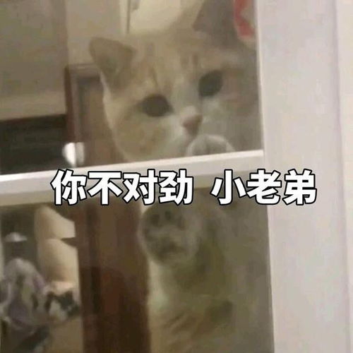 影视圈联名抵制短视频背后的商业逻辑竟是......