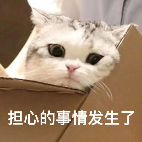 沙雕趣味好玩的表情包