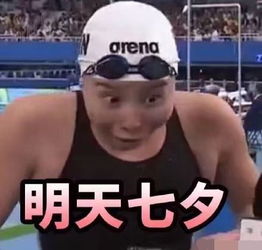 继龙科cp后体坛新cp诞生