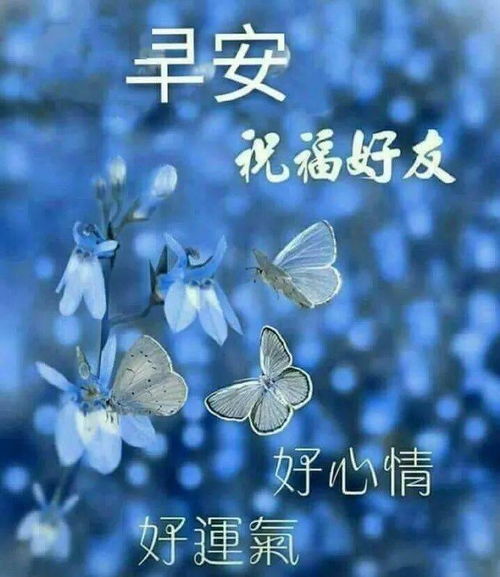 10月13日阳光暖心的早上好问候祝福动态图片清晨美丽的早安问候语动态表情图片