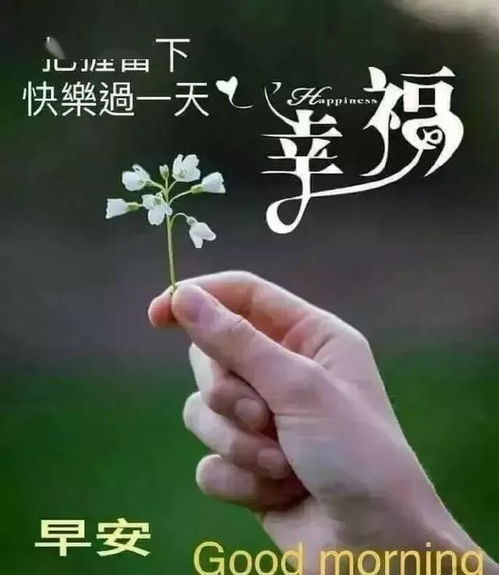 这个五月早上好问候语动画图片大全早晨祝福语表情包