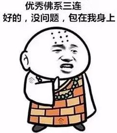 521图片表情包佛系青年