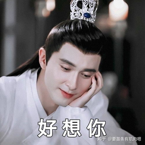 三生三世枕上书表情包有哪些