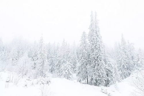 下雪好漂亮的早安图片