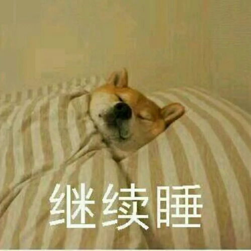 四六级结束来放松一下