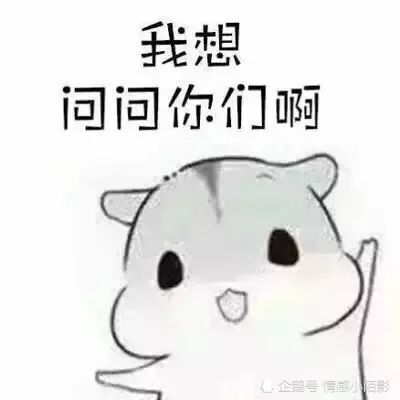 仓鼠表情包我想问问你们啊