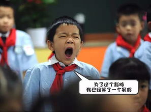 送你一波开学表情包,笑着活下去哈哈哈