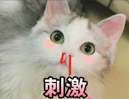 作为女生,你怎么能不来收这波表情包可爱又撩人,女生专用