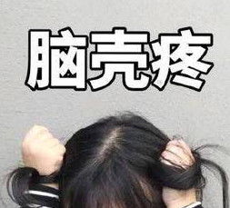 厨艺和食欲上升了憨憨猫mur猫表情包脑壳都睡扁了表情包下载乐游网游戏下载