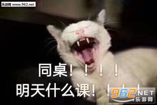 同桌我饿了我要吃早餐表情包与同桌一起的那些事儿表情包图片下载乐游网游戏下载