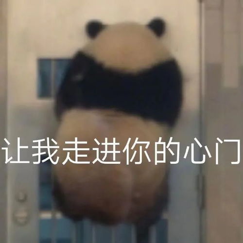 表情包竖起我八卦的小耳朵