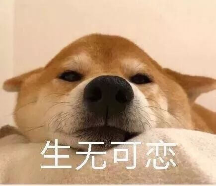 假期帅起丑睡你是这样早睡早起的狼人吗