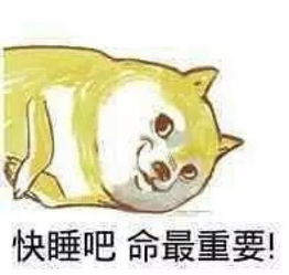 熄灯日常你属于修仙的哪门哪派