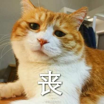 超萌表情包σω