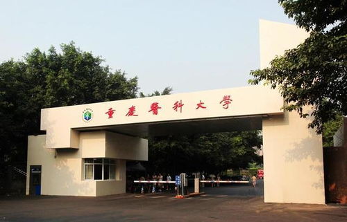 重庆市最难考的4所大学重庆大学排第一,西南政法滑落第四
