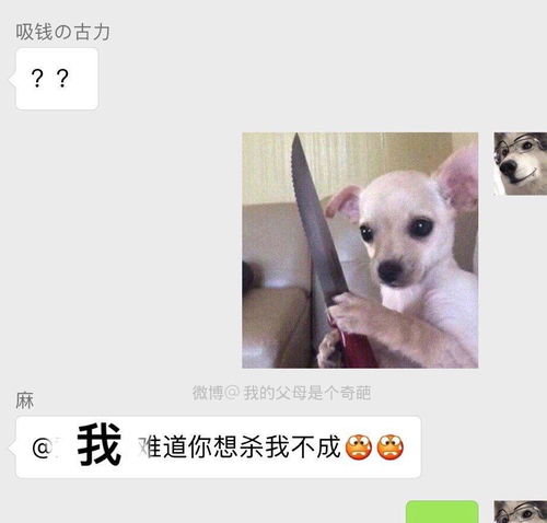 爆笑吐槽爱情可以来的晚一点,但是外卖不行,新的一年圆滚滚