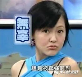 汪涵向欧弟道歉竟被骂太假俞灏明矢野浩二的表情透露真相