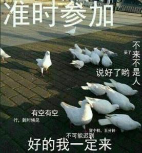 还没想过这种东西