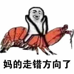 皮皮虾我们走皮皮虾表情包