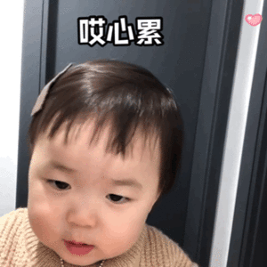 表情包我什么都没看见