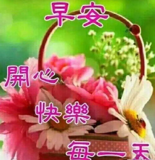 早上好问候表情图片带字带祝福,新年漂亮的清晨早上好带字祝福图片