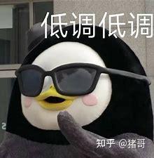 打企鹅表情包朱达欣