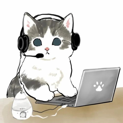 一群胖猫火了甚至学会了网上冲浪