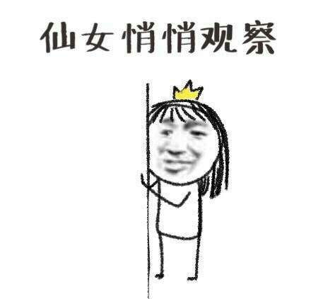 泼冷水卡通表情包仙女