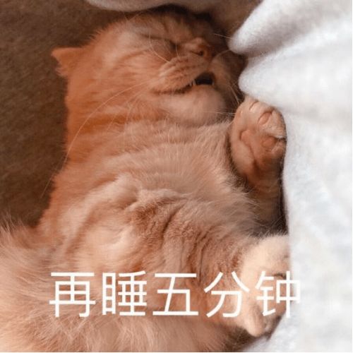 院部动态丨经济与工商管理学院冷风刮来的冬日选择