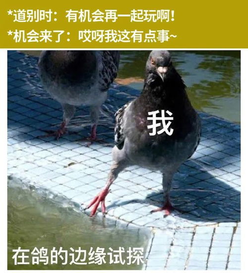 当一个慢热的人刚开始交际时