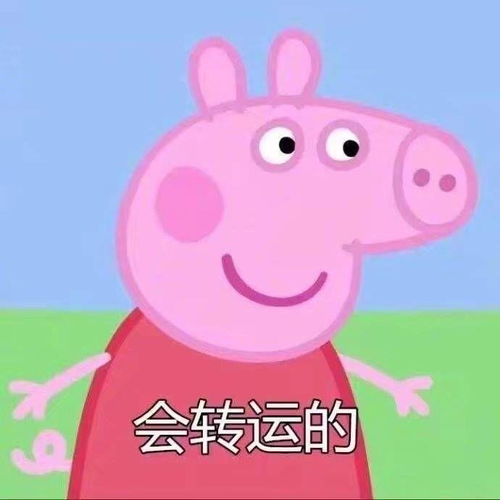 年轻人素质干货