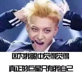 惹不起惹不起这部戏精发展史看得我戏瘾都犯了