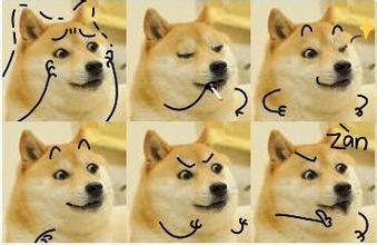 收下这些,以后也可以理直气壮对人说dog了