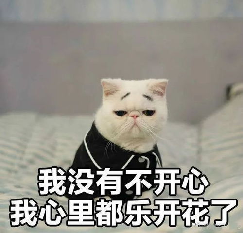 当外国教授说thatsquitegood,能听懂这话的都是老留学生了