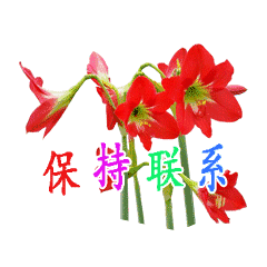 不用打字微信图片免打字就可以聊天的动态表情图大全