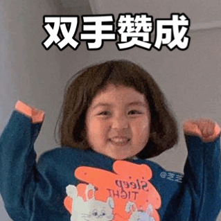 表情包女友日常开车