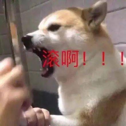 做个人吧,李维嘉