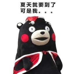猪猪女孩要勒紧月底的裤腰带