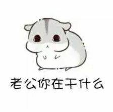 老公你在干什么表情包