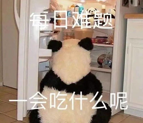 表情包