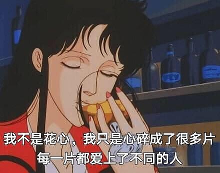 我的收藏