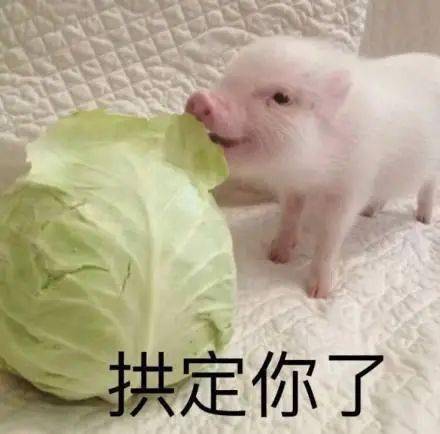 全球仅450例女子剁猪骨时划伤手指,却患上罕见病