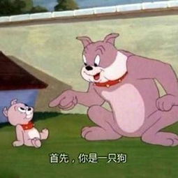 发表情表情包大全微信表情包qq表情包fabiaoqing.com