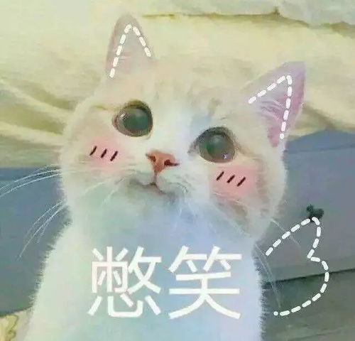 愿鼠不尽的好运,都鼠于你