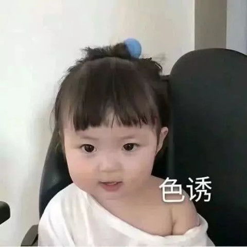 会动的超小表情包微信胖墩